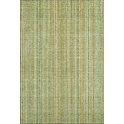 Premium Machine Washable Filiberto AMF1655 Stripes Rug