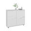 Range-chaussures, 4 portes, 4 tablettes pour une grande organisation