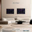 Rose noire scintillante-737560675-737560696