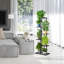 Plant Stand-1721249562