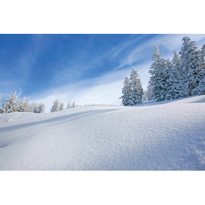 Winter Landscape by Jcrosemann