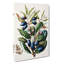 Beilschmiedia Taiaire Tawa Flowers by Sarah Featon - Wrapped Canvas Painting-55304027