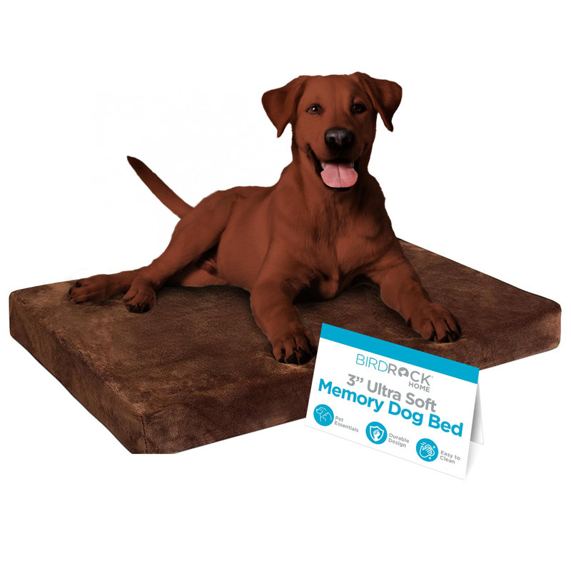 Lit pour chien en mousse viscoélastique ultra-douce BIRDROCK Home, Brun, Moyen (l 34 po x P 22 po x H 3 po)