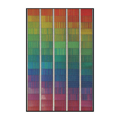 Indoor Rug