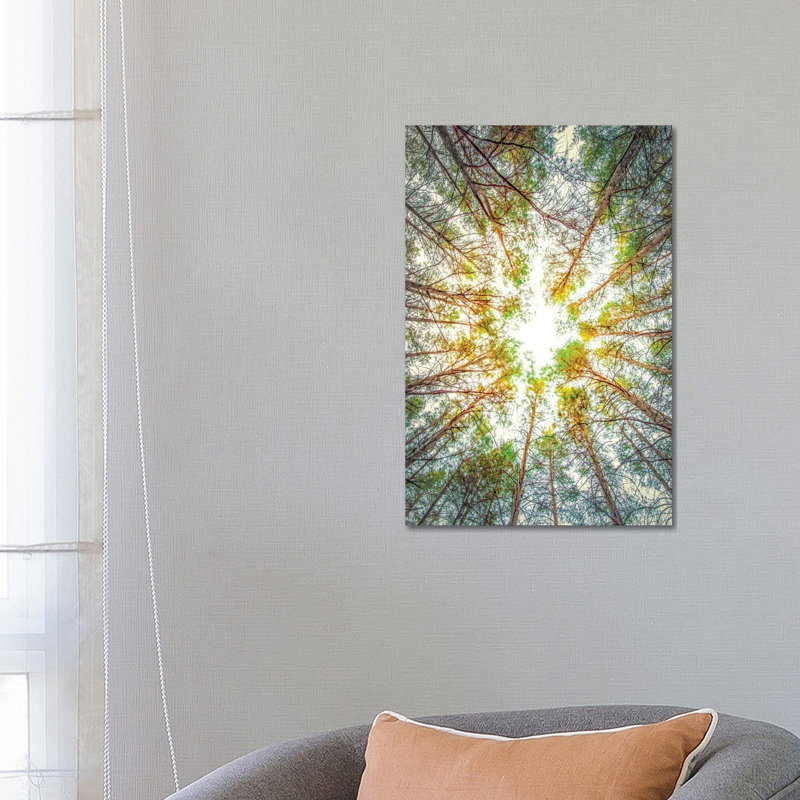 Canopy Of Trees by Nik Rave - Wrapped Canvas Gallery-Wrapped Canvas Giclée