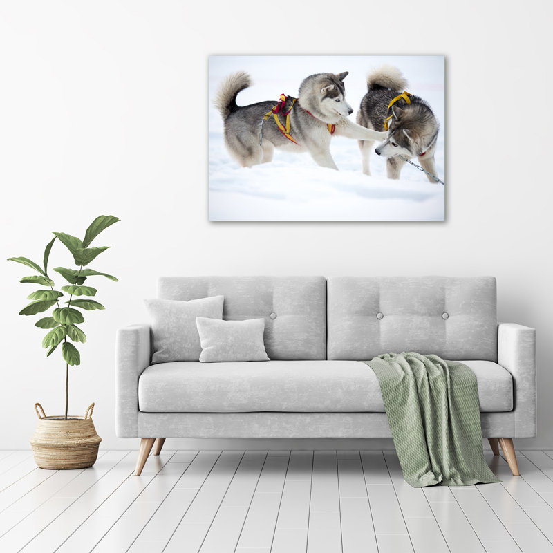 Husky In The Winter - No Frame Print, Glass, 70cm H x 100cm W x 4cm D