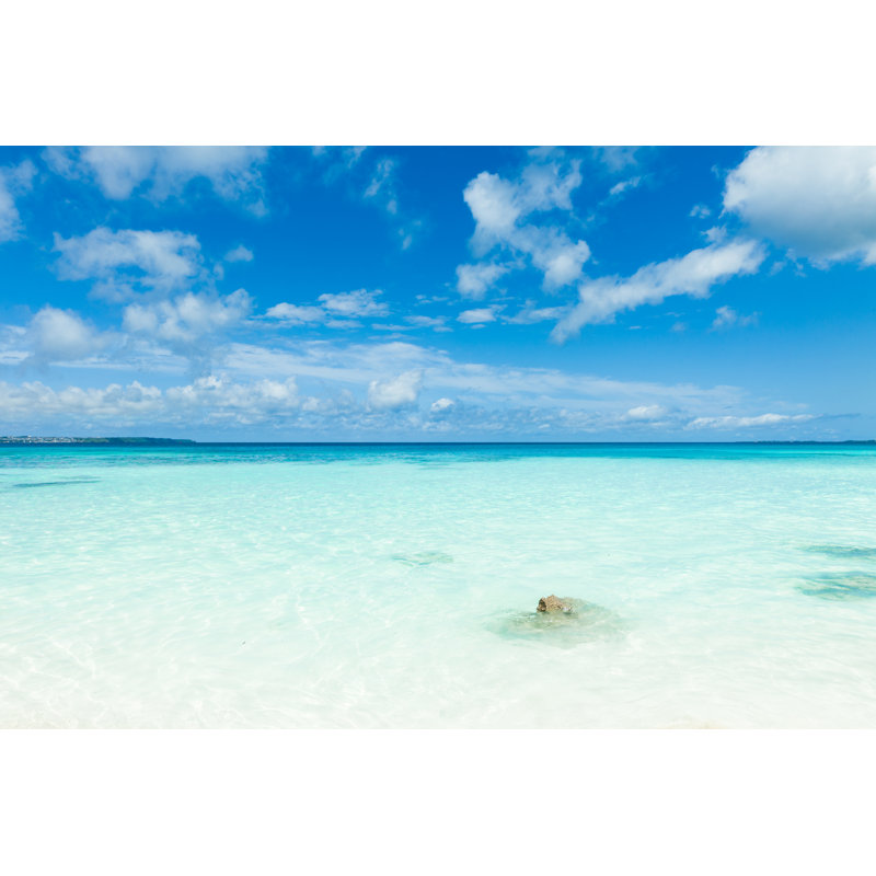 White Sand Coral Beach - Wrapped Canvas Print, 30cm H x 46cm W