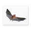 Wall Art on Canvas-975134012