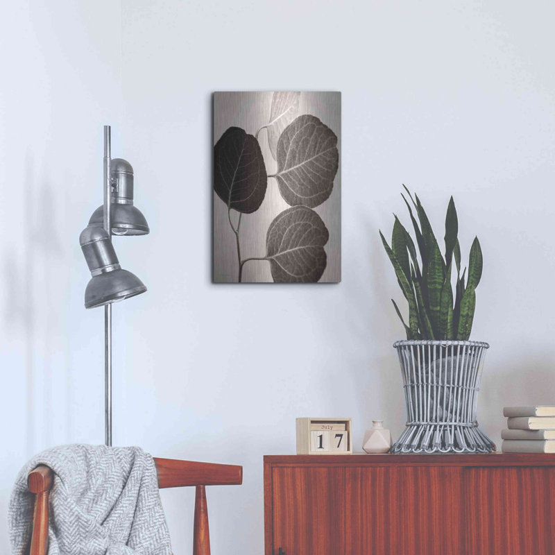 "Eucalyptus sépia" par Debra Van Swearingen, H 24 po x l 16 po
