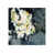 Brush Gel selected
