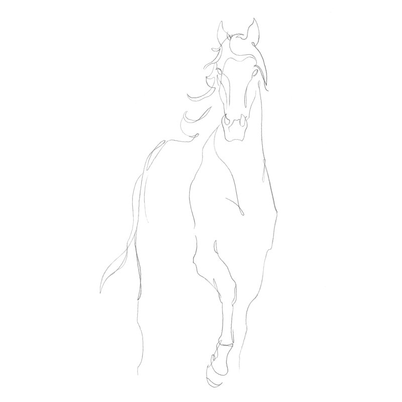 Horse Shape I by Ethan Harper - Wrapped Canvas Print, 122cm H x 81cm W