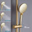 Pomme de douche à pluie 10 pouces avec système portatif, barre coulissante réglable et porte-savon-99220215