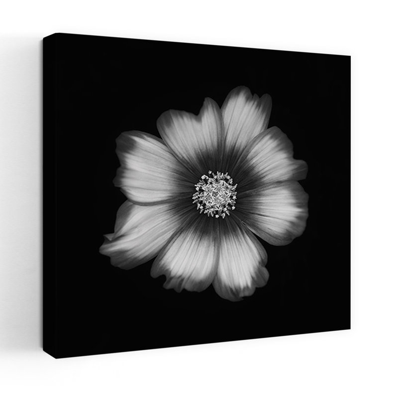 Art contemporain Art floral contemporain, H 18 po x l 18 po