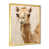 Gold Single Picture Framed