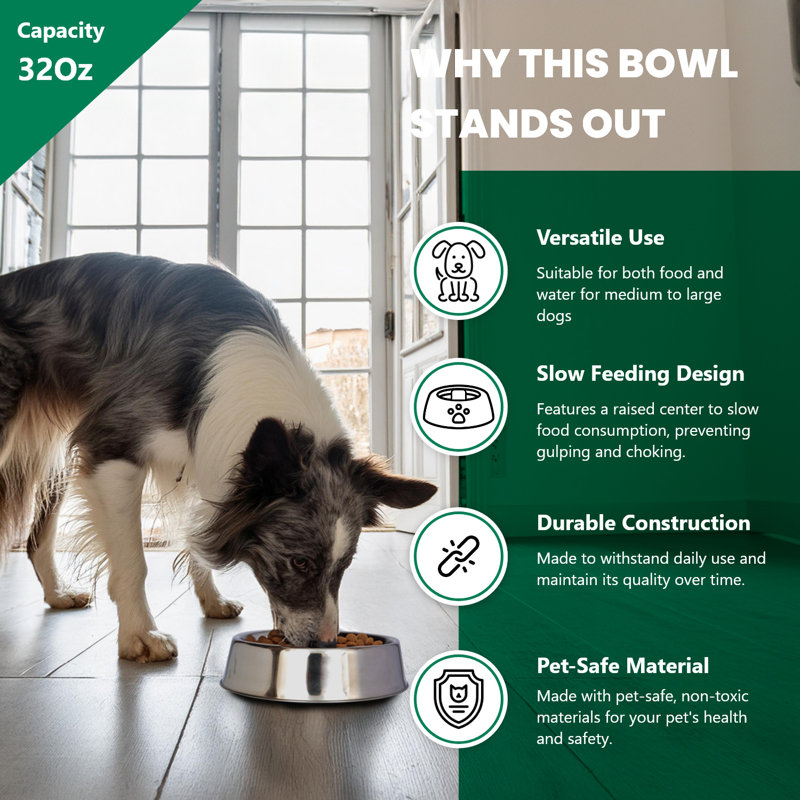 Stainless Steel Anti-Ant Non-Skid Pet Bowl, 32 Oz