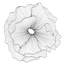 Poppy Flower Wall Decor In Silver/Black