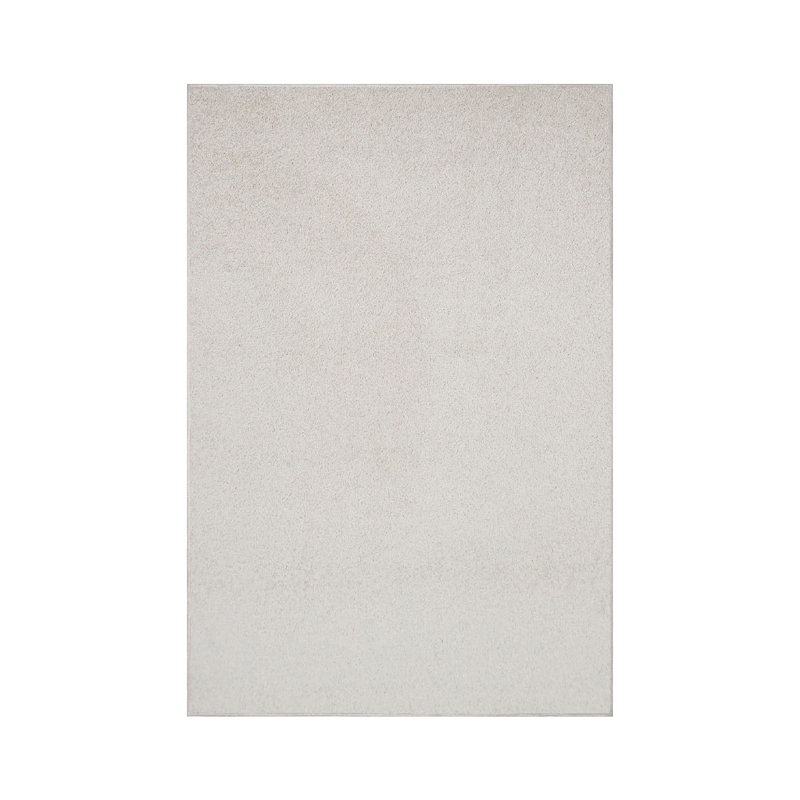 Modern Plush Pet and Kids Friendly Solid Color Off White Area Rugs, Stain & Fade Resistance, Perfect for Living Room, Dining Room, Bedroom, Playroom and Kidsroom, Event, Wedding, Amberlyn Binded Rug