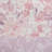 Floral Paisley Comforter Set Full/Queen