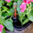 Anyce Pot Planter