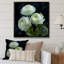 «White Ranunculus Radiance Layers Of Beauty» - art mural Renoncule-525566745-525566751