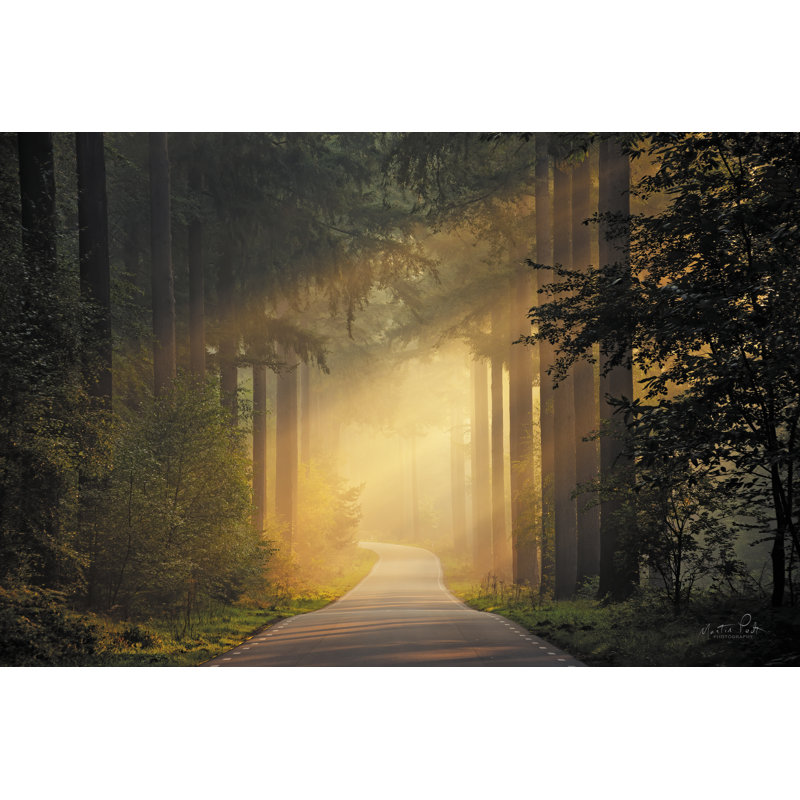 Impression sur toile «Late Summer Morning» par Martin Podt, H 24 po x l 36 po x P 1,25 po