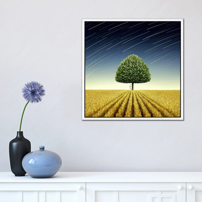 Newton's Apple Tree by Ben Heine - Print on Canvas