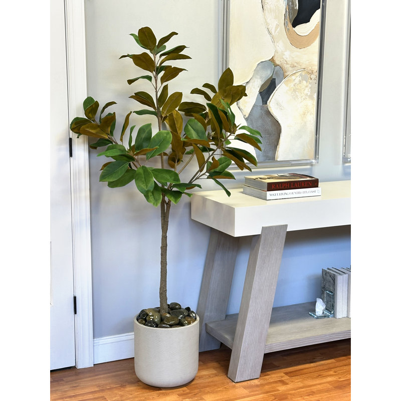 Faux Magnolia Tree in Fiberstone Planter