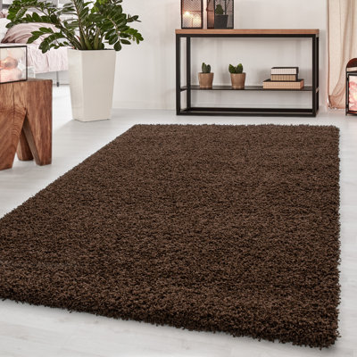Mihran Solid Colour Shag Area Rug