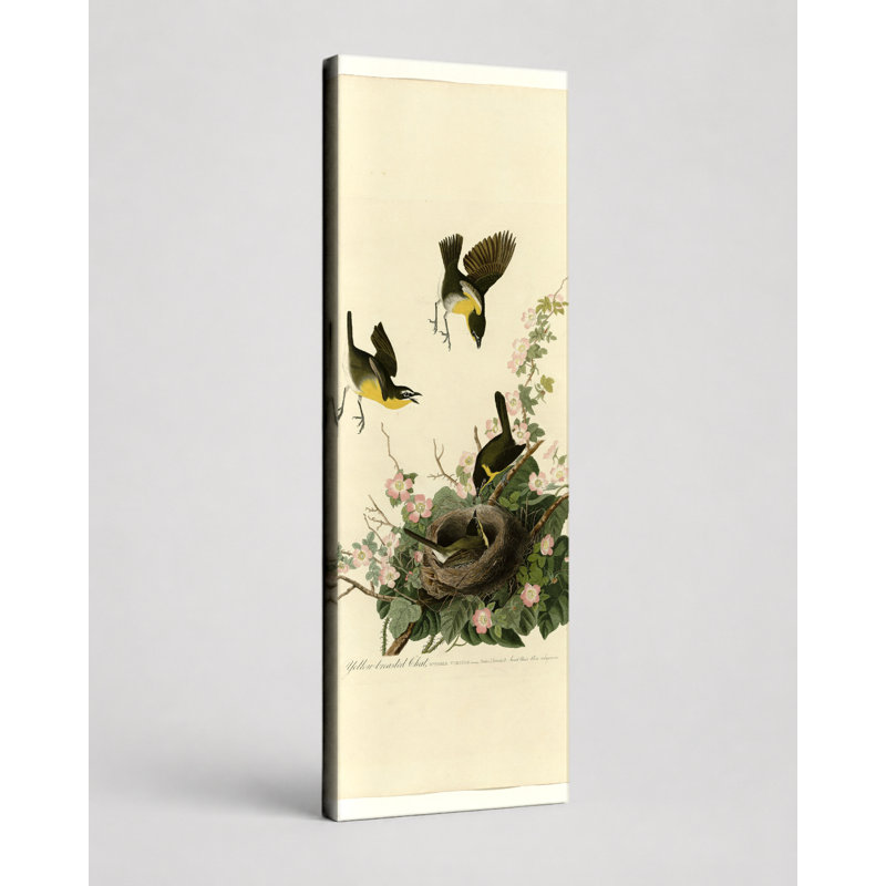 Art mural sur toile, "Chat à poitrine jaune", planche 137, 36" W x 12" H