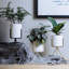Adrius Pot Planter-1729423064-1729423044