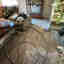 Photos des clients 1 de 7