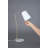 Cheatham Metal Desk Lamp-1668707505