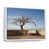 White Floater Framed