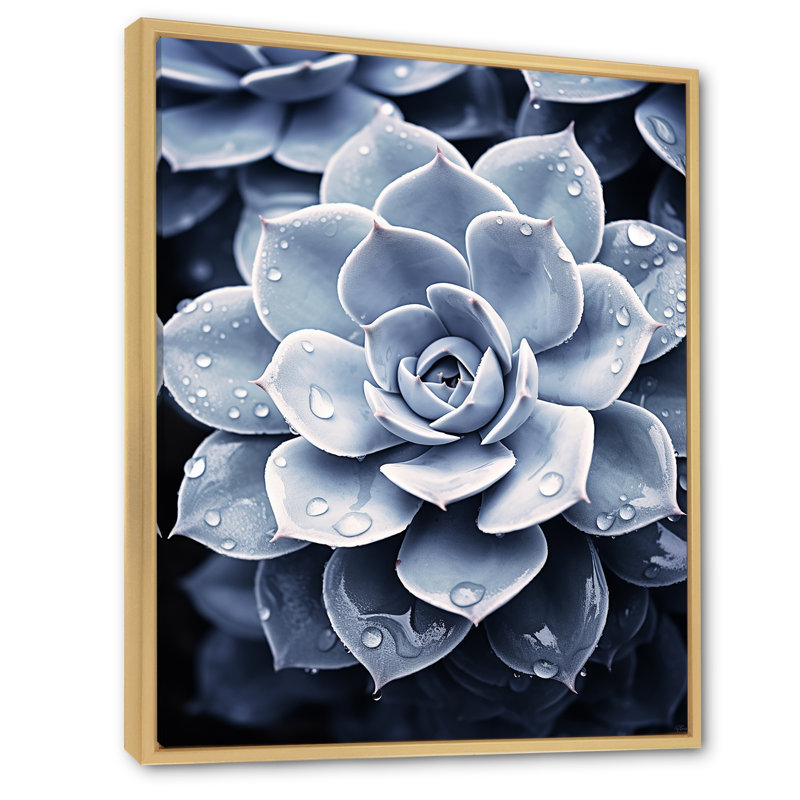Bleu plante grasse I, Cadre naturel flottant, H 40 po x l 30 po x P 1,5 po