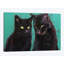 «Two Black Cats», reproduction sur toile-32865200-72219278-72219277