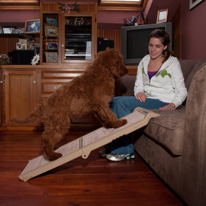 Tan Collapsible Pet Ramp with Machine Washable Carpet