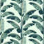 Banana Leaf - Wallpaper-272488706-272488709