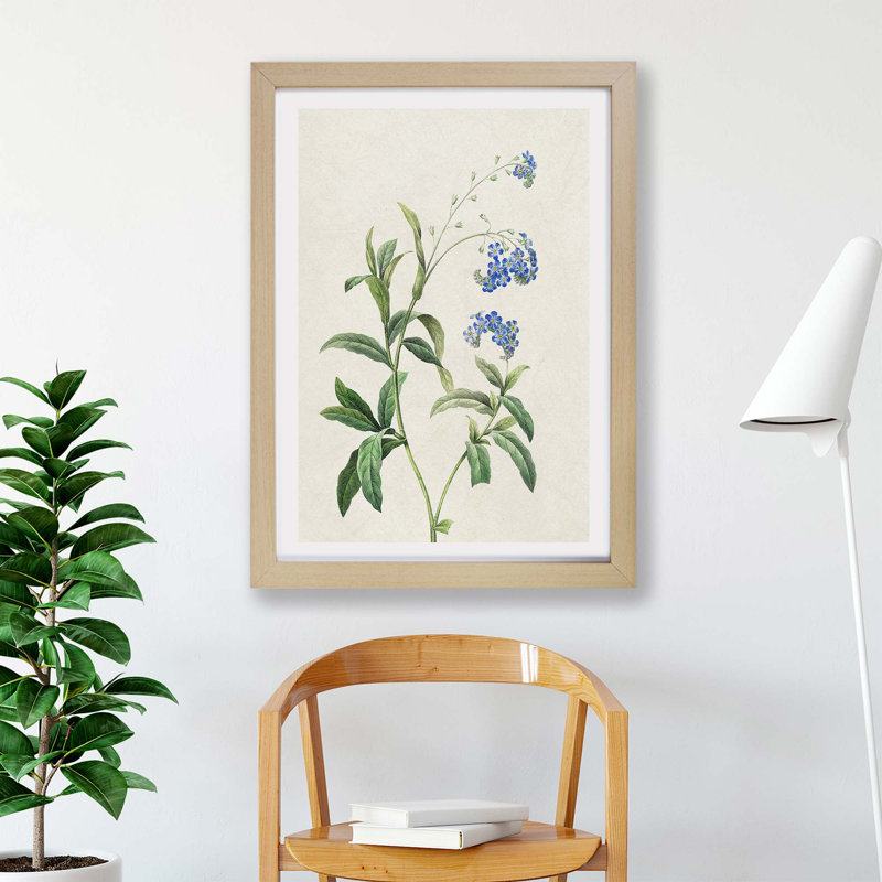 Water Forget-Me-Not Flowers - Framed Print, 45cm H x 63cm W x 2cm D, Oak