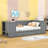 Azora Twin Daybed with Trundle-1465820896