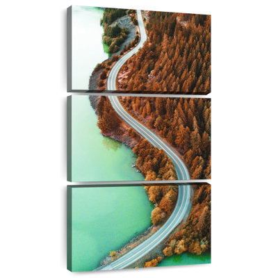 Diablo Lake Pine Forest