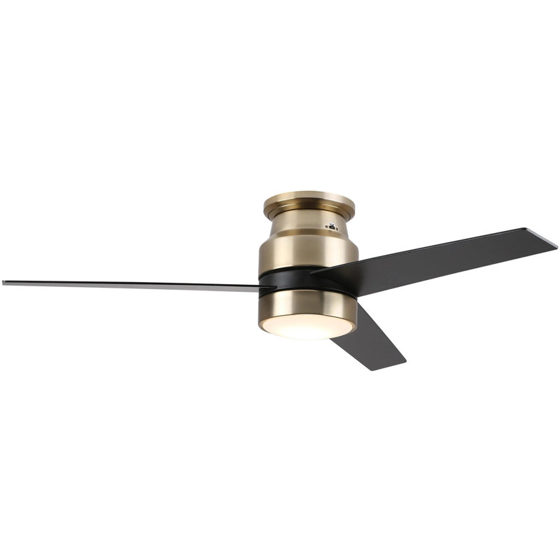 Ventilateur de plafond intelligent Raiden avec ensemble d'éclairage DEL et contrôle mural, fonctionne avec l'assistant Google, Amazon Alexa et les raccourcis Siri.