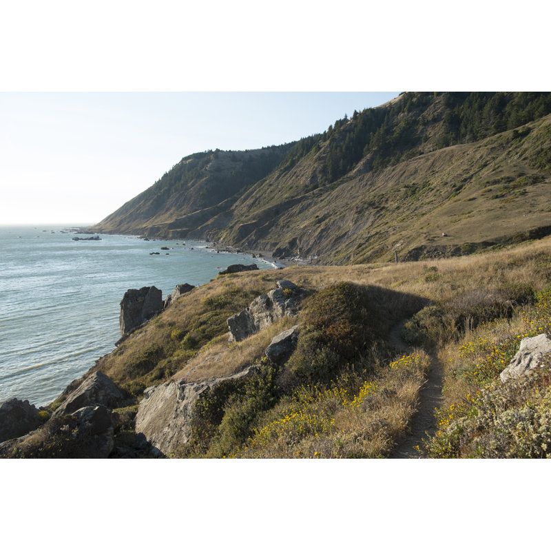 Gragg Humboldt County, California - Wrapped Canvas Print, 30cm H x 46cm W x 3.8cm D