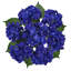 Tige d'hortensia de luxe Cragmont-715876241