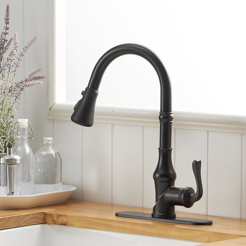 VIBRANTBATH Kitchen Faucet, Black, 2 GPM