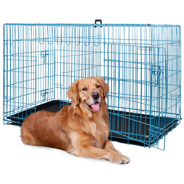 https://assets.wfcdn.com/im/71448601/resize-h600-w600%5Ecompr-r85/2520/252097085/Bestpet+30+Inch+Dog+Crates+For+Large+Dogs+Folding+Mental+Wire+Crates+Dog+Kennels+Outdoor+And+Indoor+Pet+Dog+Cage+Crate+With+Double-Door%2CDivider+Panel%2C+Removable+Tray+And+Handle%2CBlue.jpg