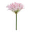 Tige de fleur Agapanthus (ensemble de 2)-1205802769