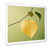 Cadre simple blanc
