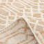 Sophie Trellis Area Rug in Ivory-217765102