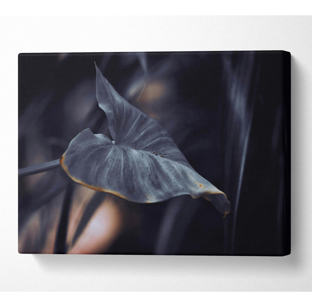 Dusky Grey Leaf