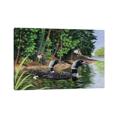 Loons by Bob Schmidt - Wrapped Canvas Gallery-Wrapped Canvas Giclée